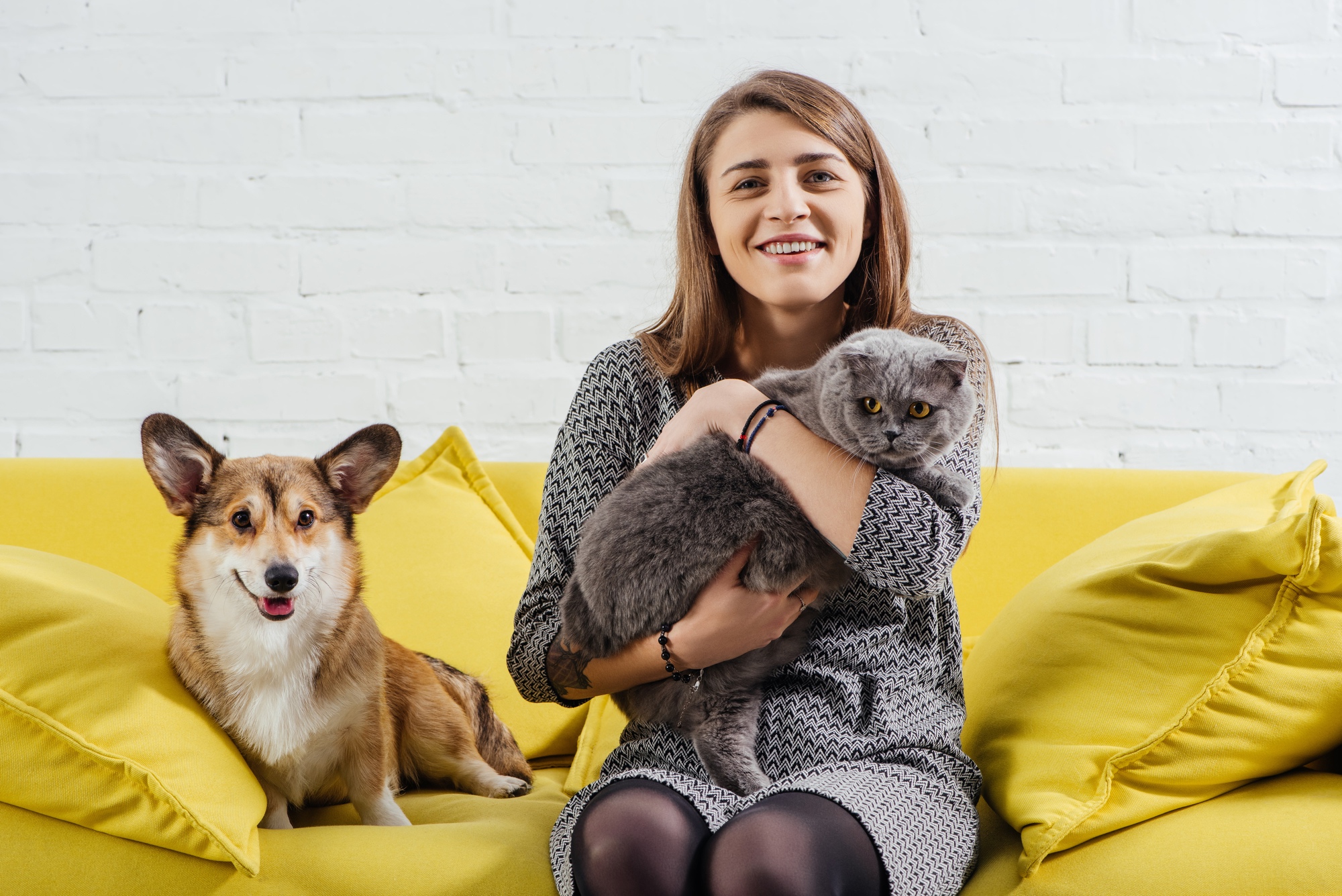How to get approved for a rental property with pets